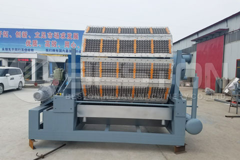 Beston Egg Tray Manufacturing Equipment