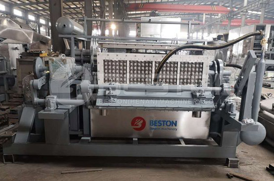 Beston Paper Tray Machine Was Ready Shipped to Peru