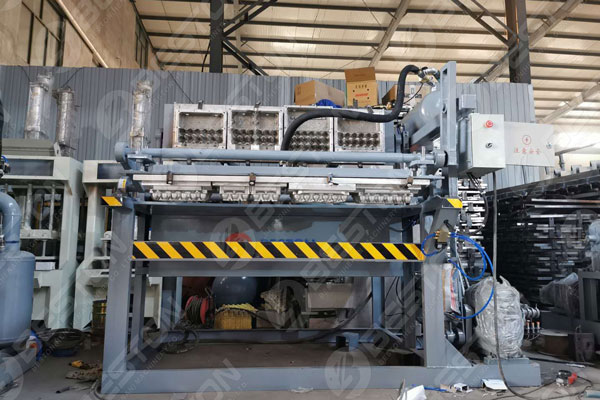 Beston Egg Carton Machine for Sale