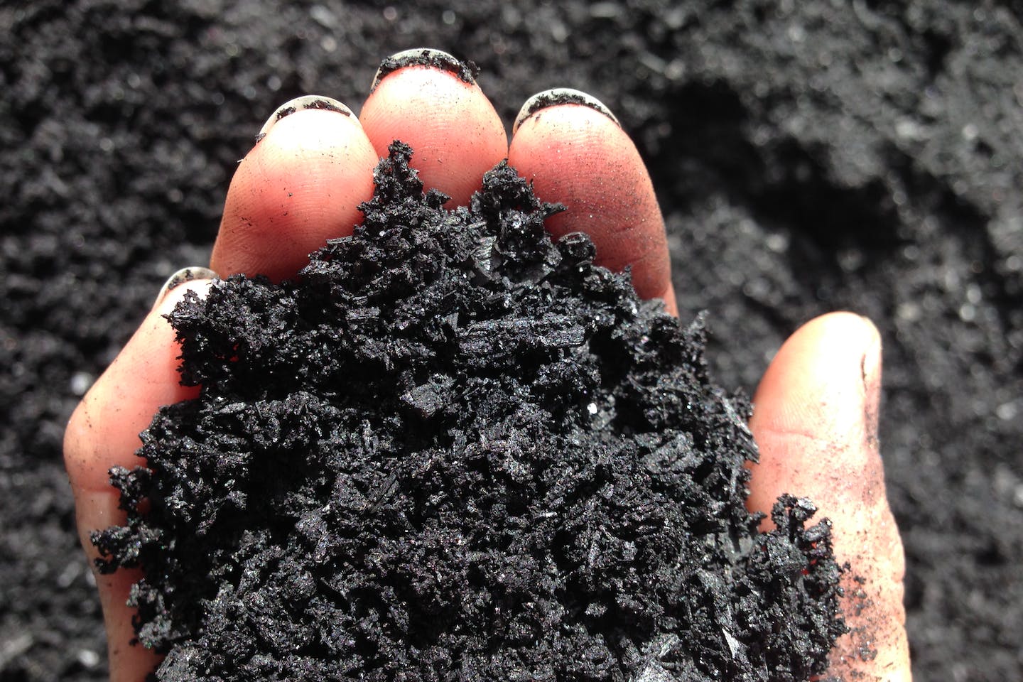 Biomass Biochar